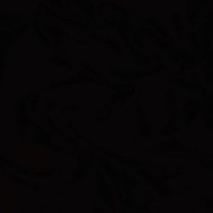 Meet your Posher, Fernando